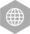 icon-globe Wisoft Professional Services - WMS Software Inventariere Colectare date depozite
