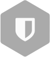 icon-security Wisoft Professional Services - WMS Software Inventariere Colectare date depozite