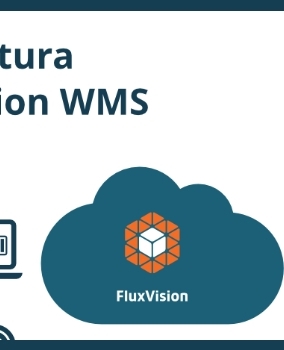 [Infografic] Arhitectura FluxVision WMS