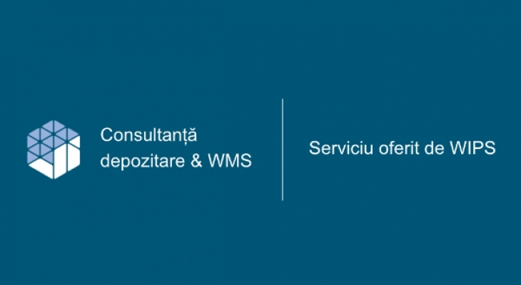 [Presentation] Storage and WMS consulting