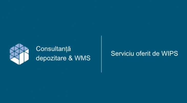 [Prezentare] Consultanță depozitare și WMS