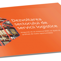 [eBook gratuit] Gestiune depozite și optimizare stocuri pentru operatori logistici