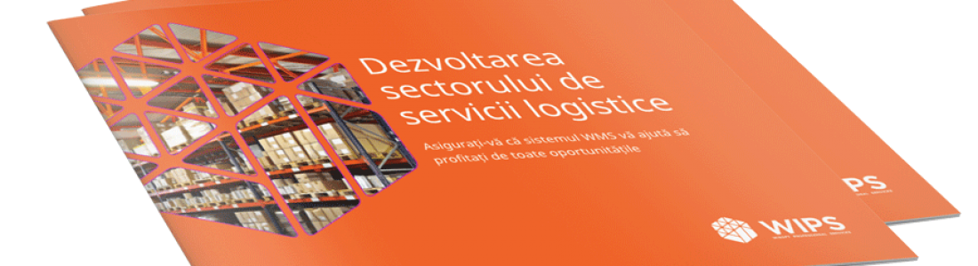 [eBook gratuit] Gestiune depozite și optimizare stocuri pentru operatori logistici