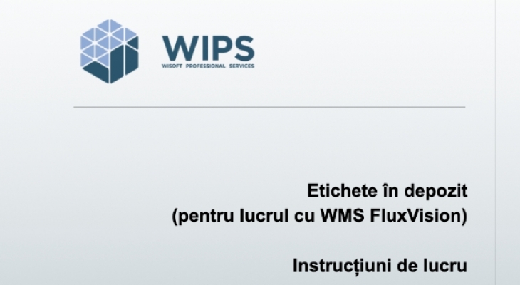 [Whitepaper] Etichete în depozit pentru lucrul cu FluxVision WMS