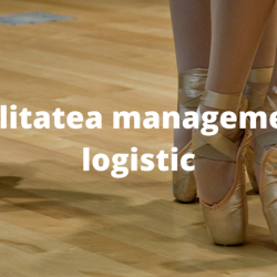 Flexibilitatea managementului logistic