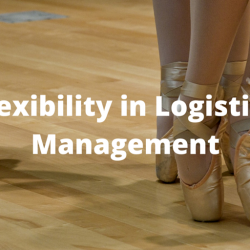 Flexibility in Logistics Management