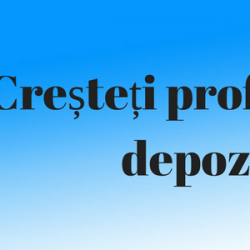 Cum să creșteți profitabilitatea depozitului