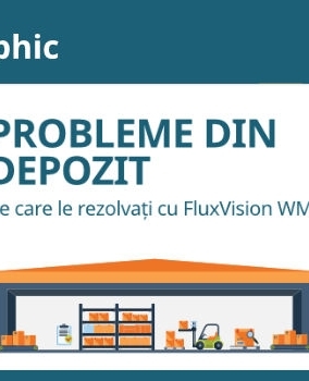 [Infografic] 4 Probleme dindepozit pe care le rezolvați cu FluxVision WMS