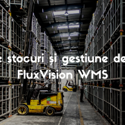 Optimizare stocuri și gestiune depozite cu FluxVision WMS