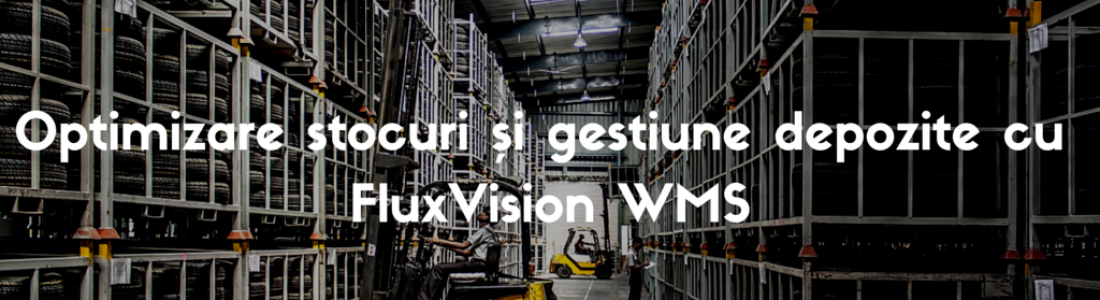 Optimizare stocuri și gestiune depozite cu FluxVision WMS