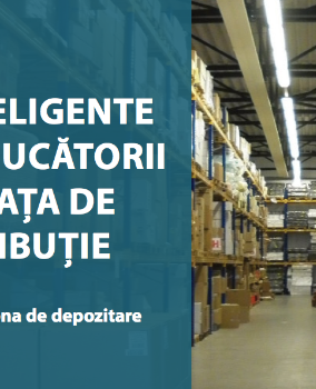 [eBook] Idei inteligente pentru jucătorii din piața de distribuție