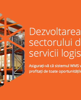 [eBook]  Dezvoltarea sectorului de servicii logistice