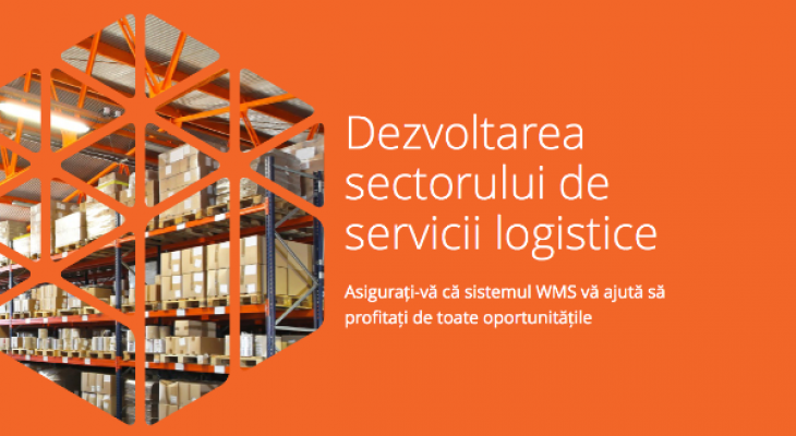 [eBook]  Dezvoltarea sectorului de servicii logistice