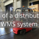 The features of a distribution oriented WMS system