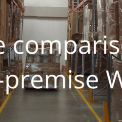 An objective comparison between cloud and on-premise WMS solutions
