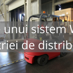 Particularitățile unui WMS dedicat industriei de distribuție